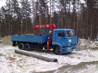Y999CO 22 RUS, КамАЗ 65117